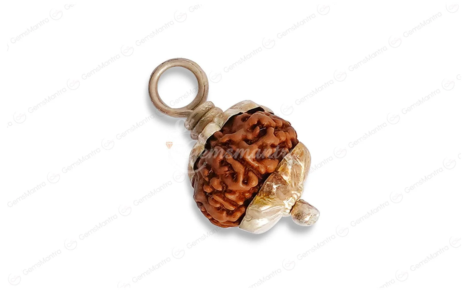 Natural 10 Mukhi Rudraksha (Indo) - Image 3