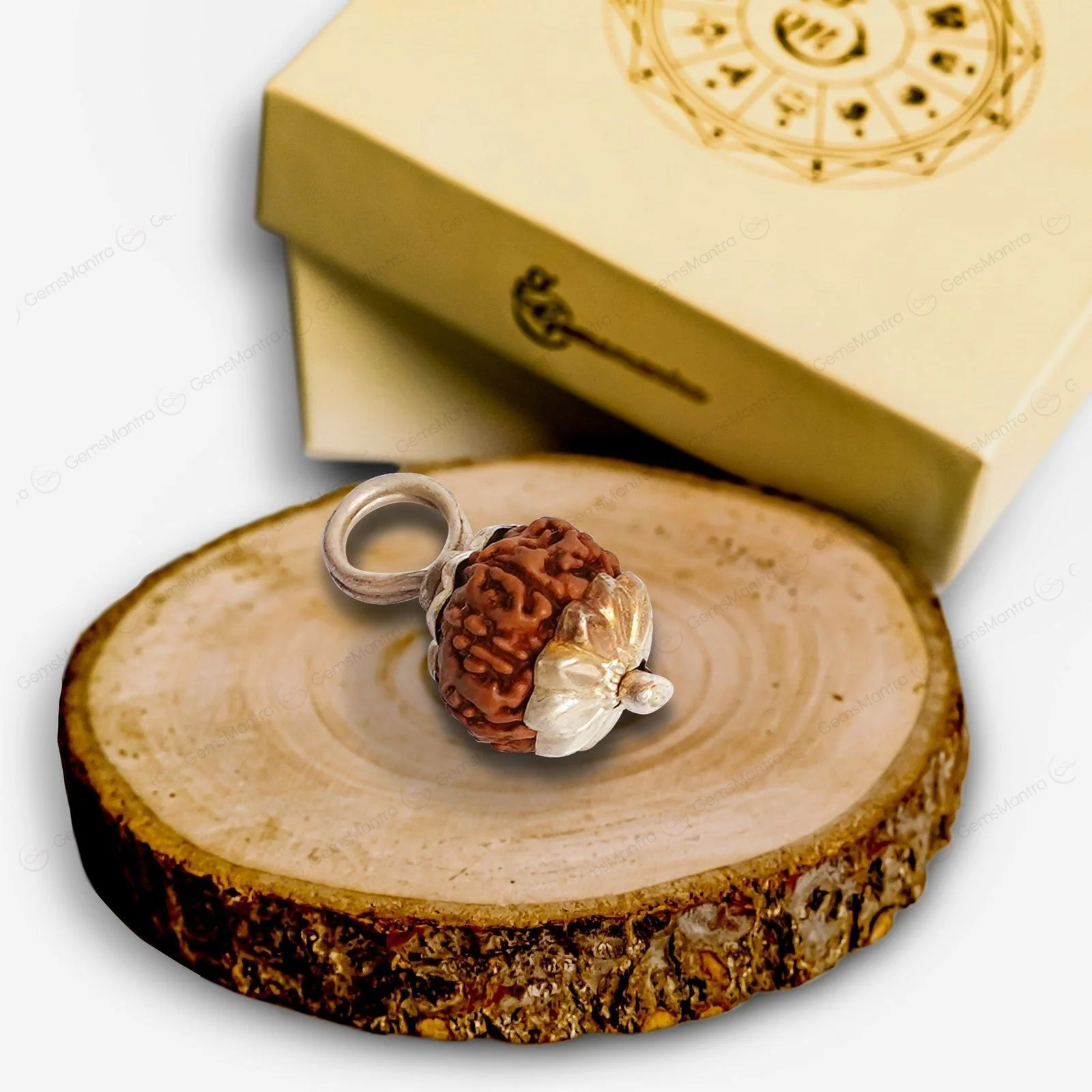 Natural 10 Mukhi Rudraksha (Indo) - Image 9