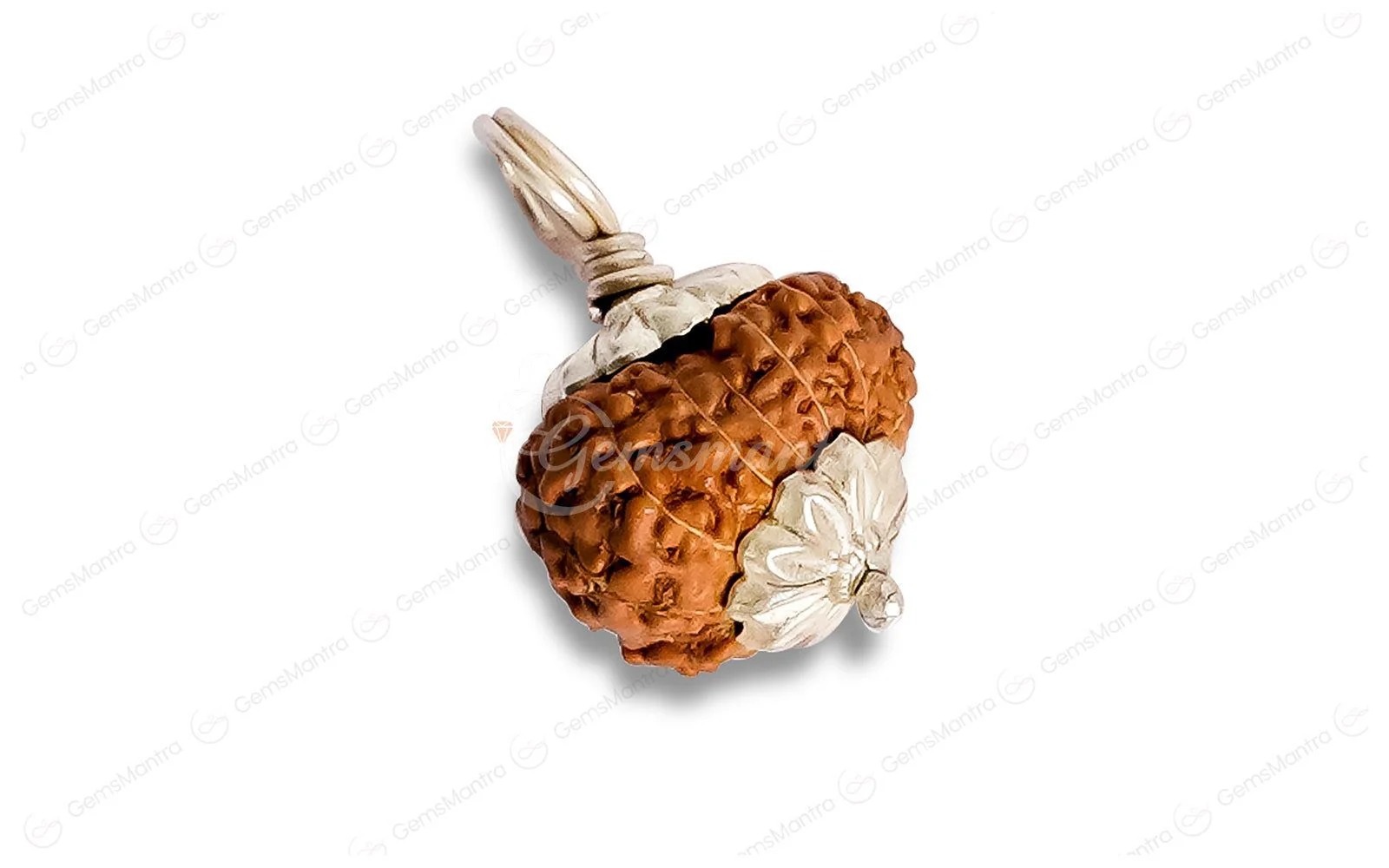 Natural 12 Mukhi Rudraksha (Indo) - Image 3