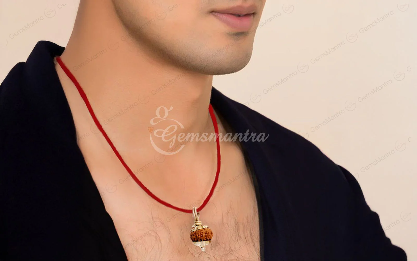 Natural 12 Mukhi Rudraksha (Indo) - Image 9