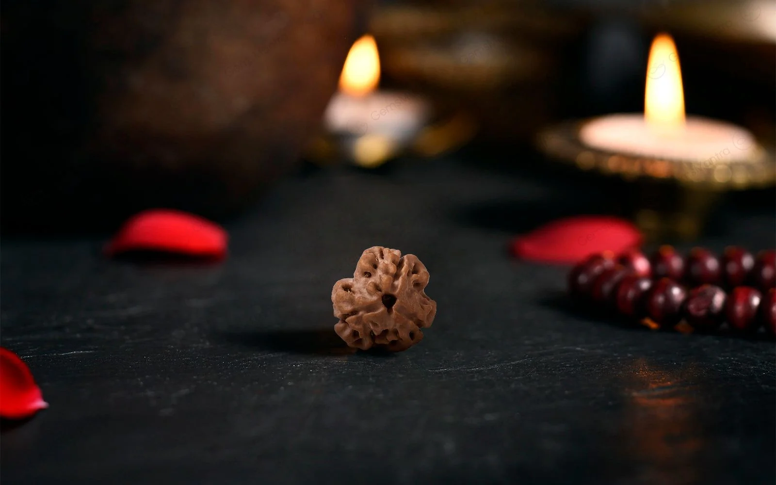 Natural 3 Mukhi Rudraksha (Nepali) - Image 3