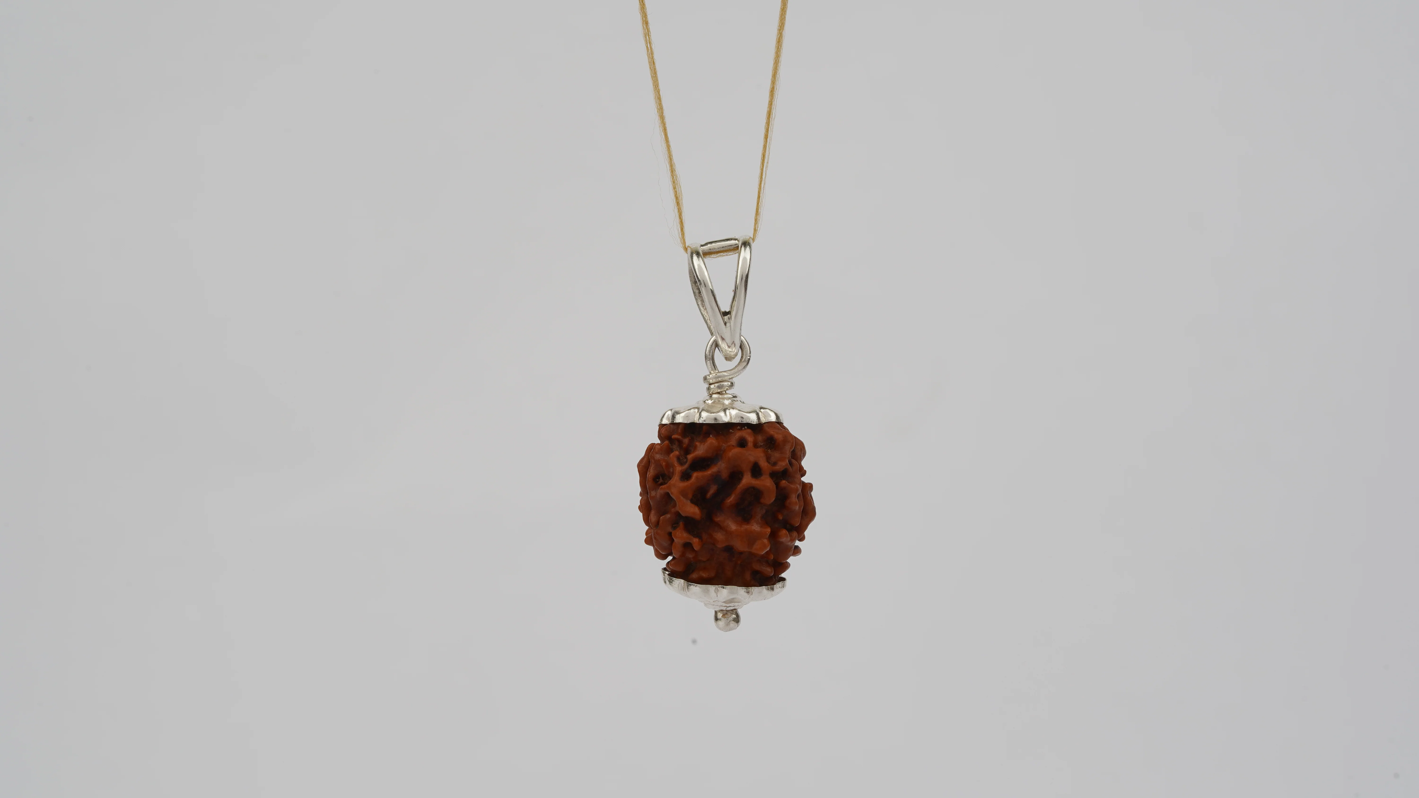 Natural 3 Mukhi Rudraksha (Nepali) - Image 6