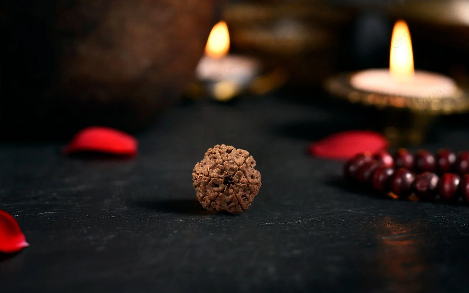 Natural 6 Mukhi Rudraksha (Nepali) - Image 3
