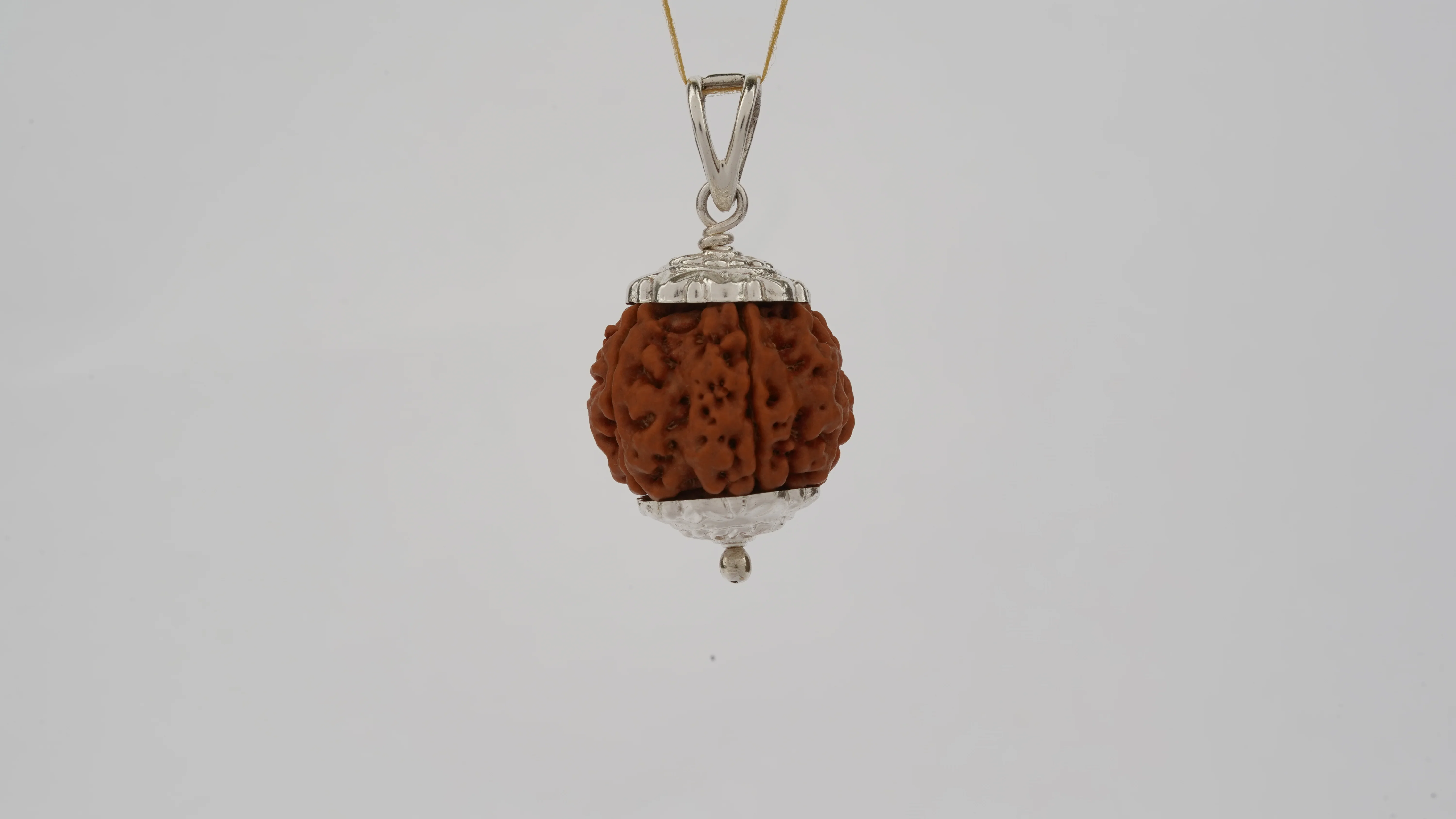 Natural 6 Mukhi Rudraksha (Nepali) - Image 6