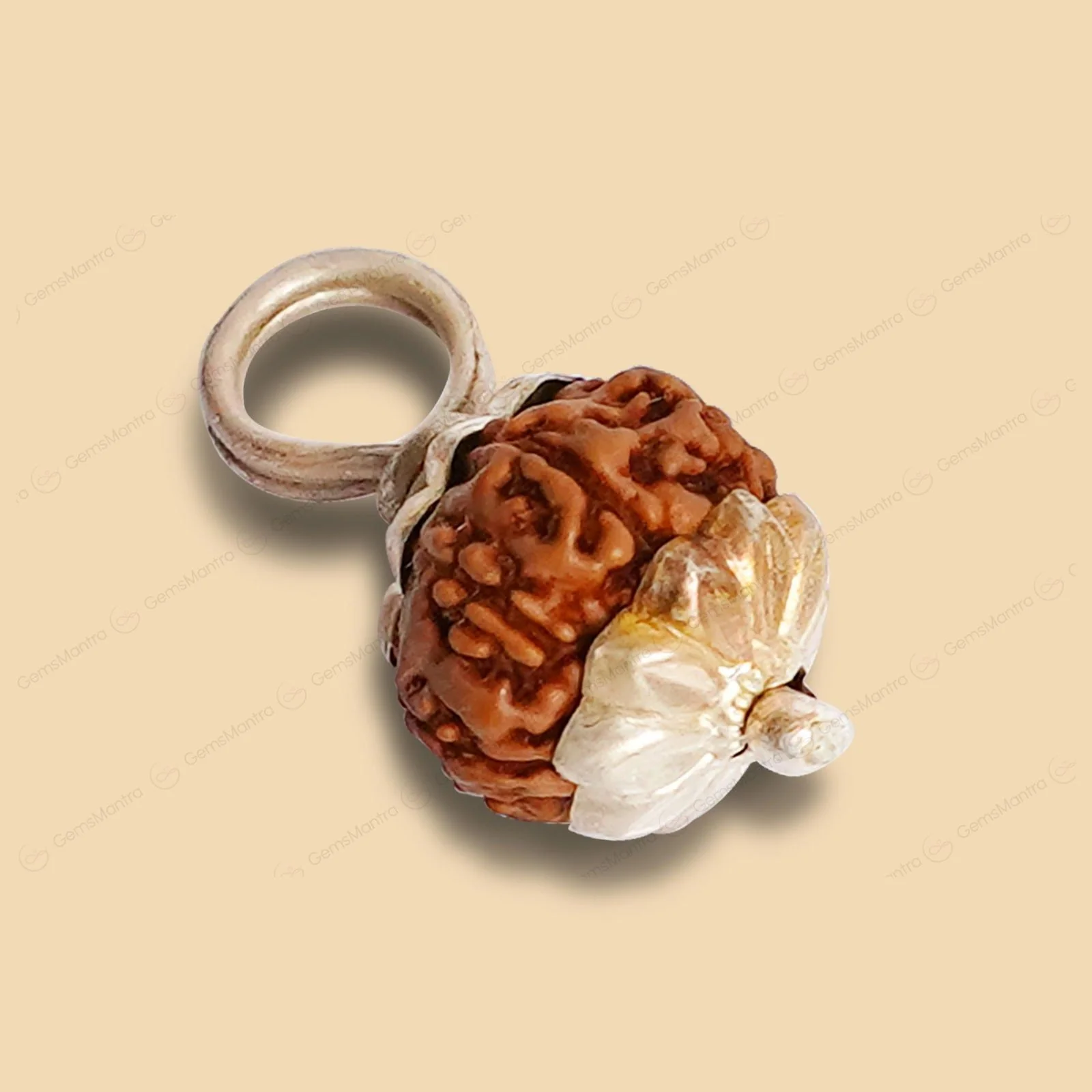 Natural 9 Mukhi Rudraksha (Indo) - Image 10