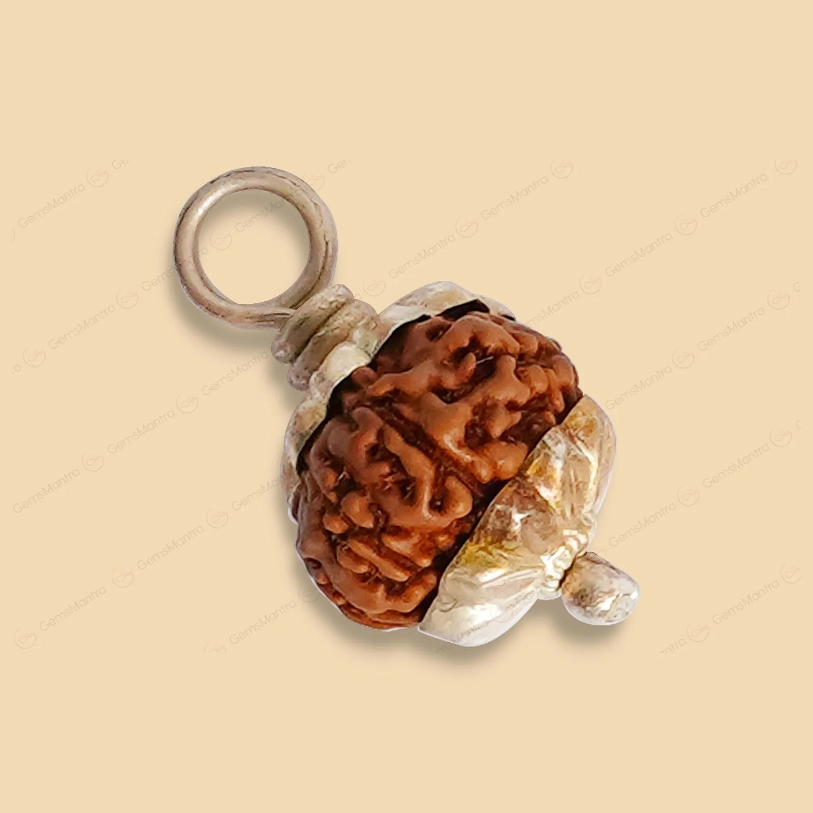 Natural 9 Mukhi Rudraksha (Indo) - Image 11