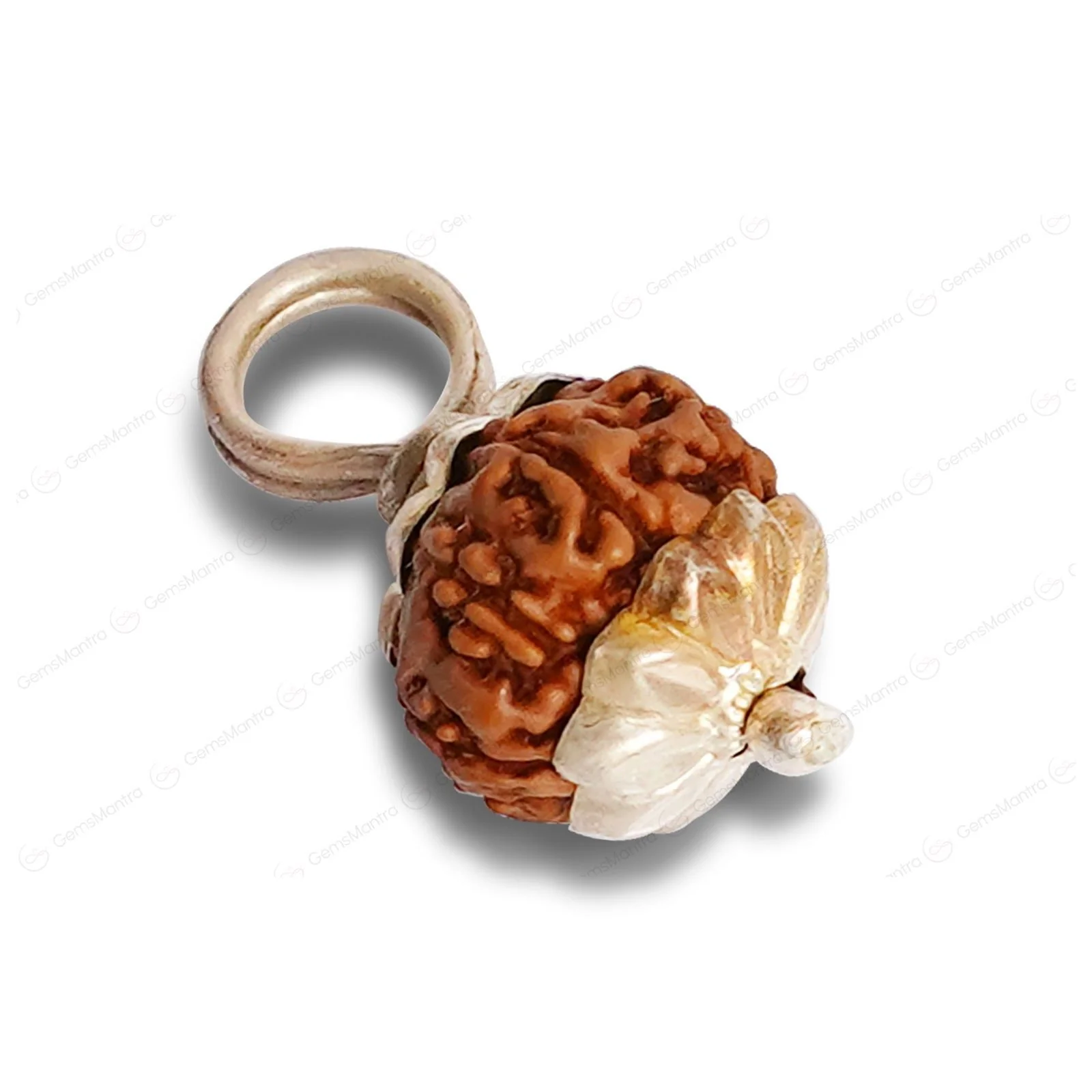Natural 9 Mukhi Rudraksha (Indo) - Image 8