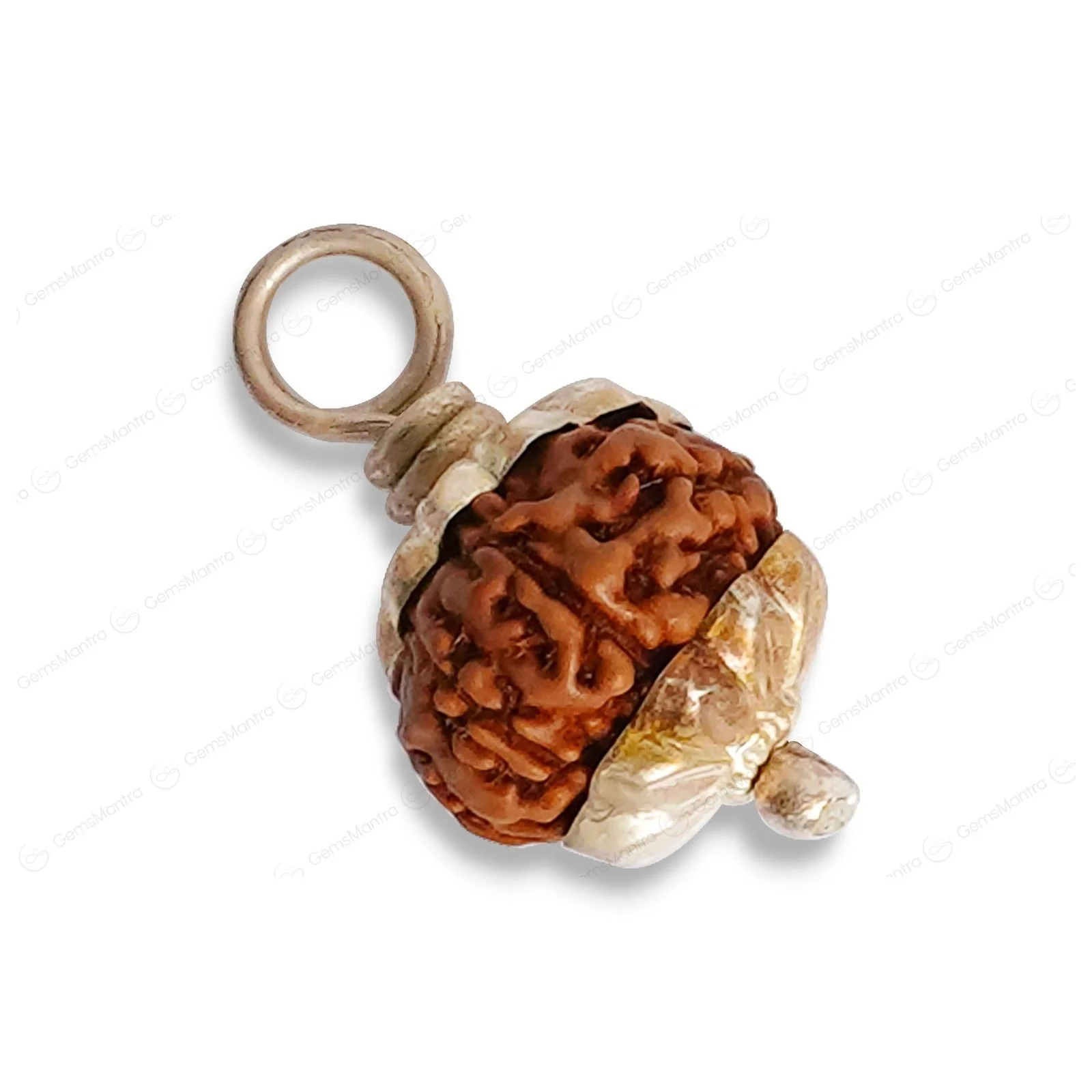 Natural 9 Mukhi Rudraksha (Indo) - Image 9