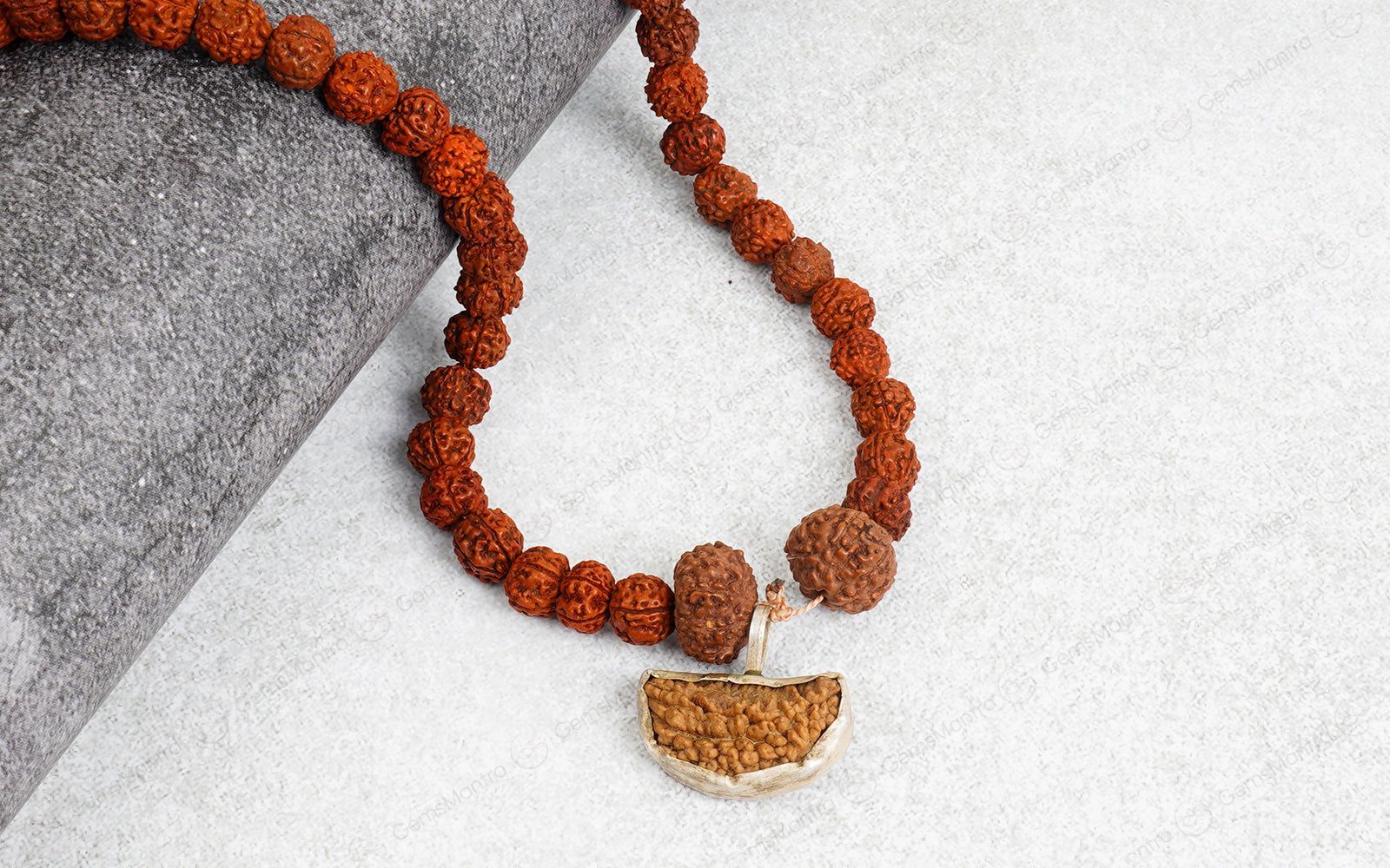 Dhanlaxmi Vriddhi Mala - 1 Mukhi and 9 Mukhi Rudraksha - Image 3