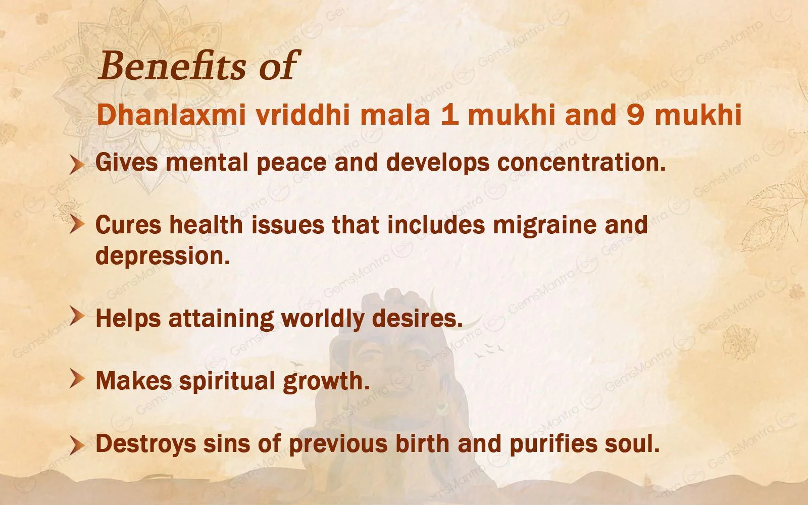 Dhanlaxmi Vriddhi Mala - 1 Mukhi and 9 Mukhi Rudraksha - Image 4