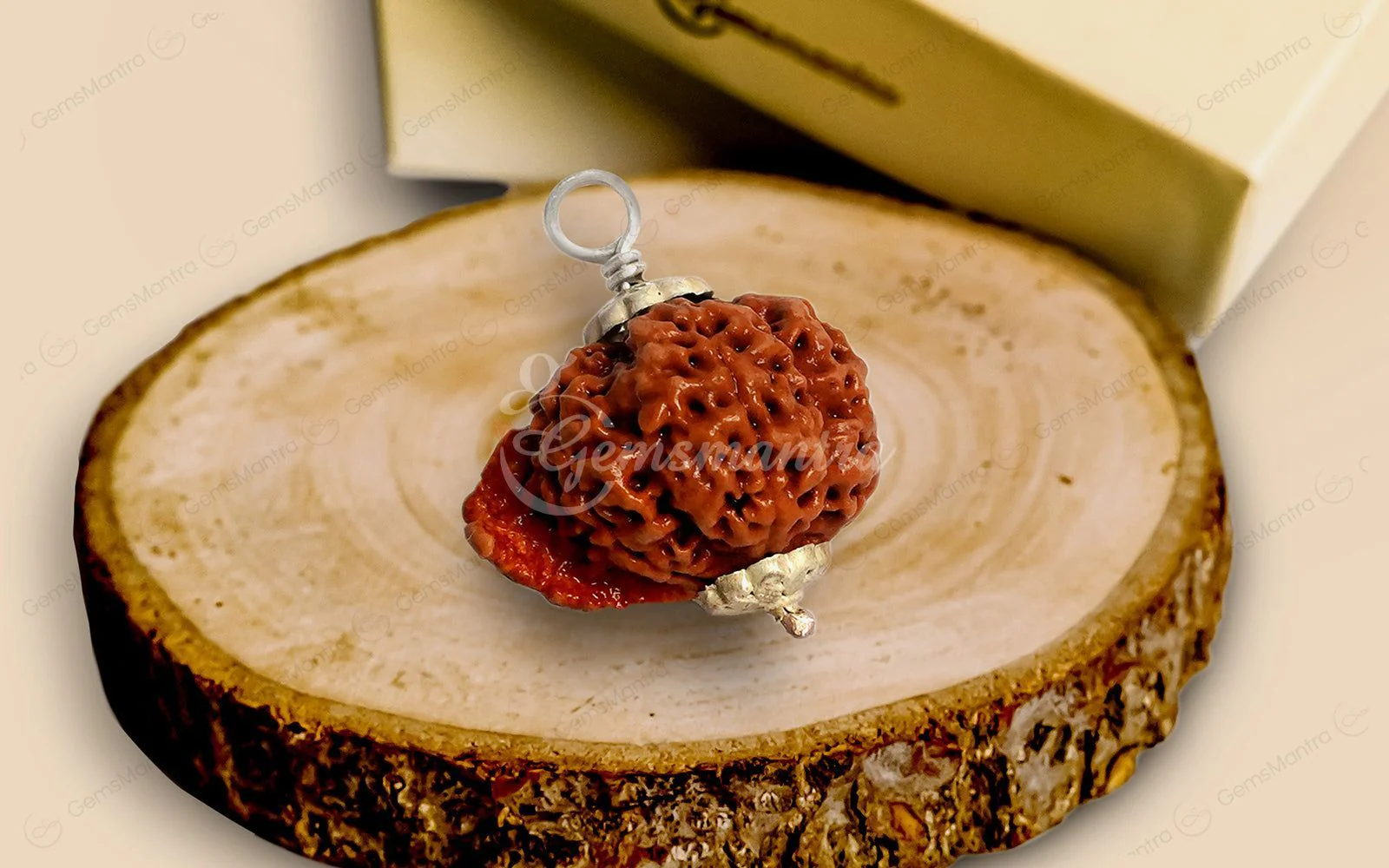 Natural Ganesha Rudraksha - Image 10