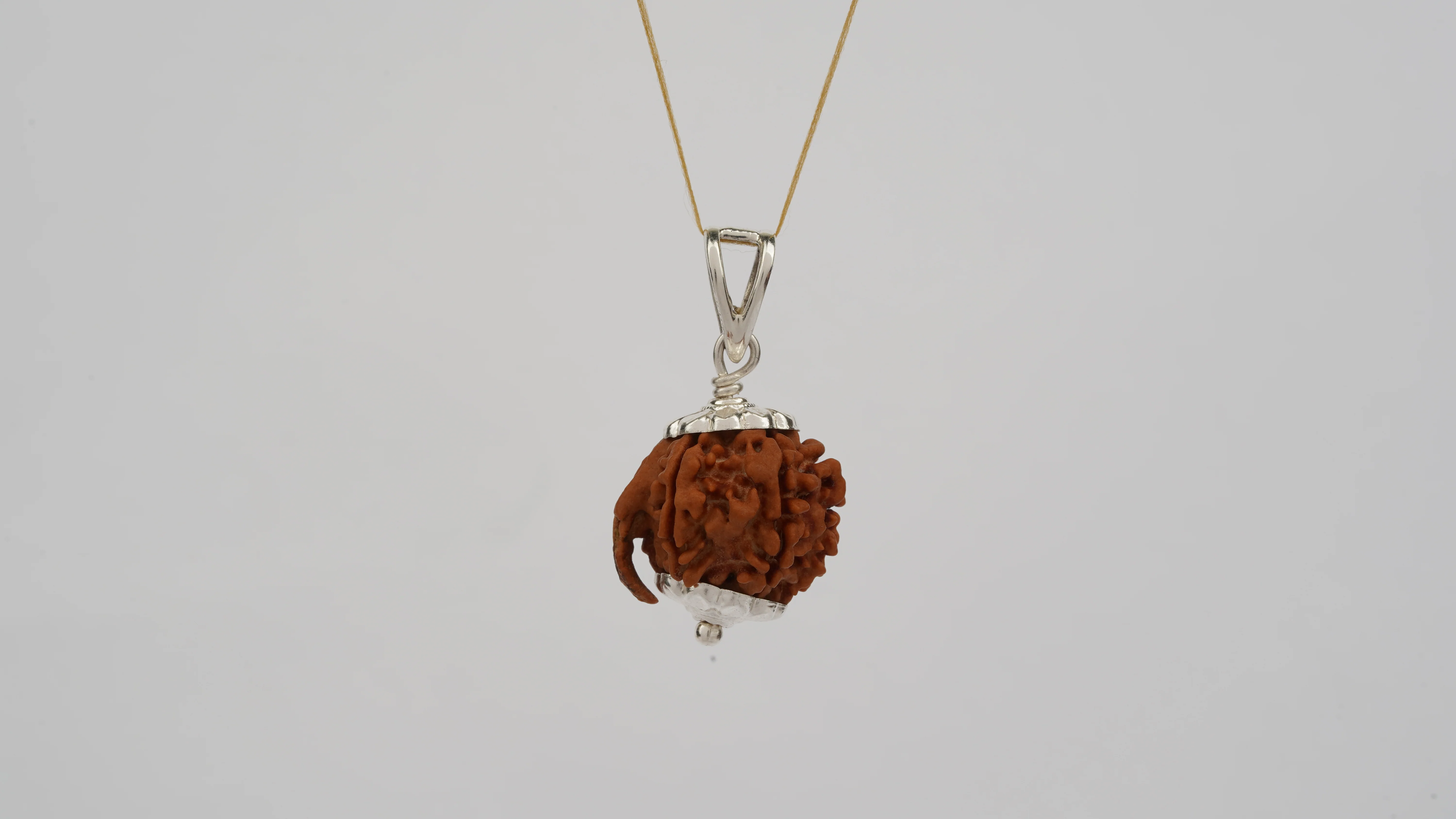 Natural Ganesha Rudraksha - Image 12