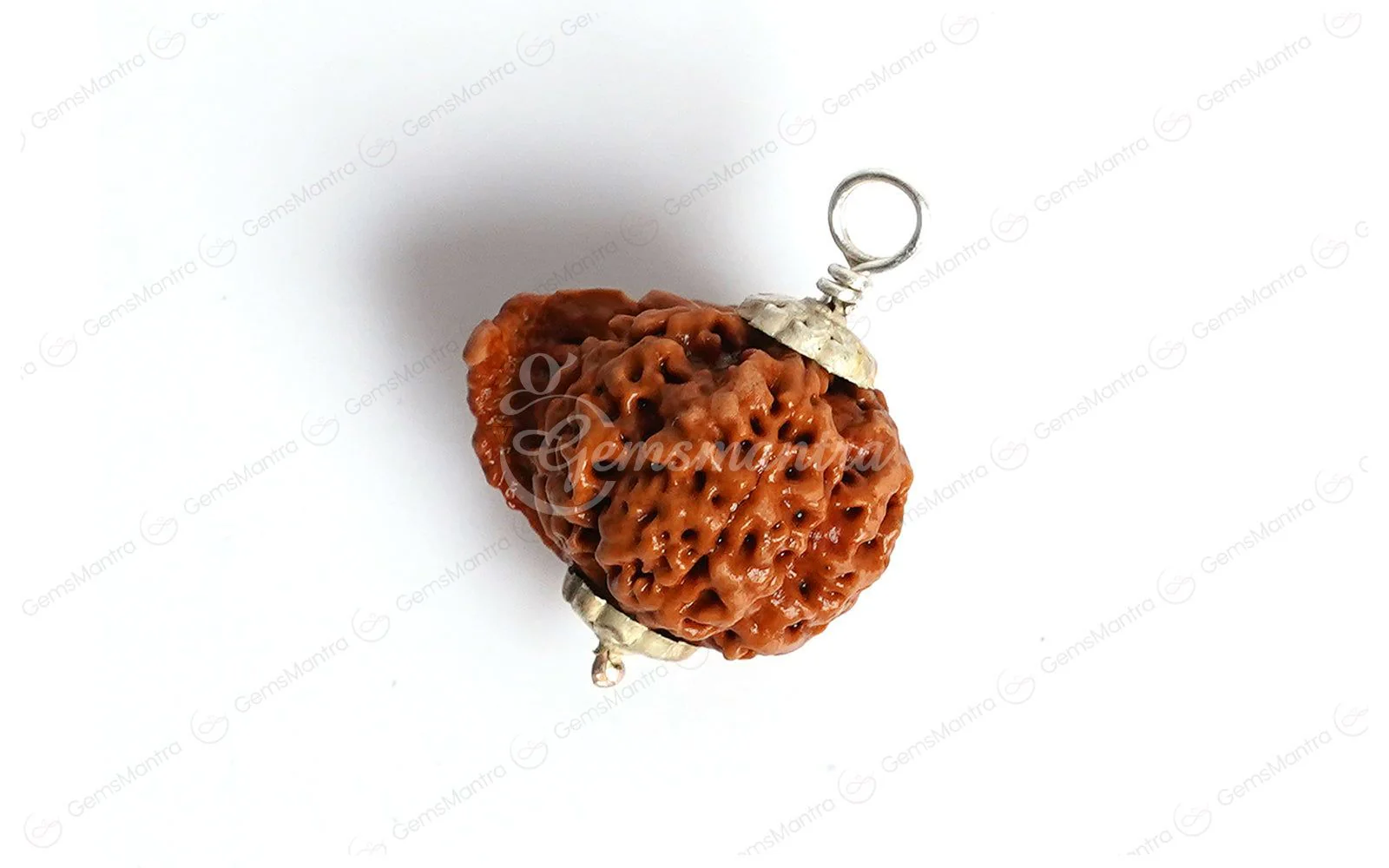 Natural Ganesha Rudraksha - Image 3
