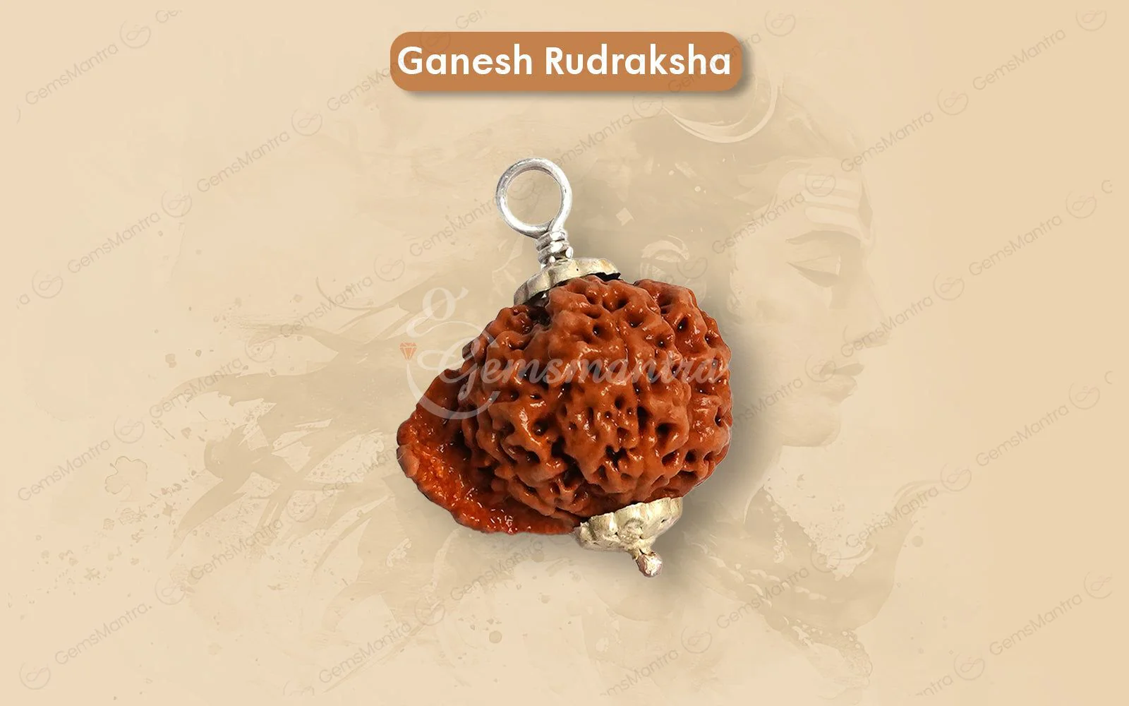 Natural Ganesha Rudraksha - Image 8