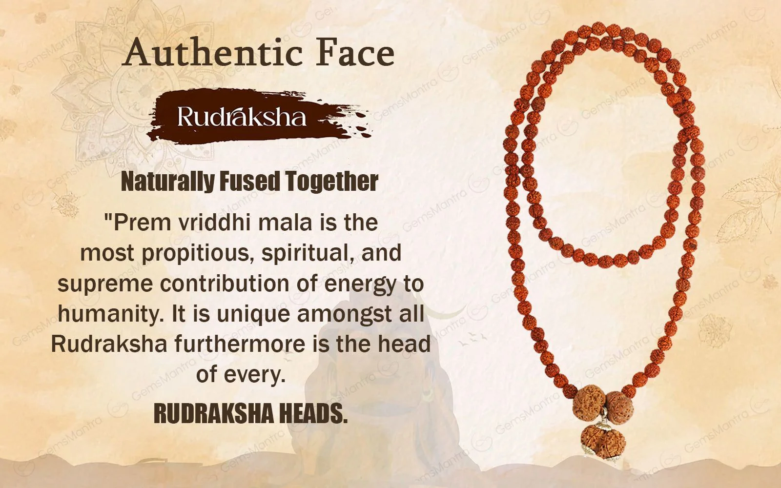 Prem Vriddhi Mala - 6 Mukhi, 7 Mukhi and Gauri Shankar Rudraksha (AB) - Image 5