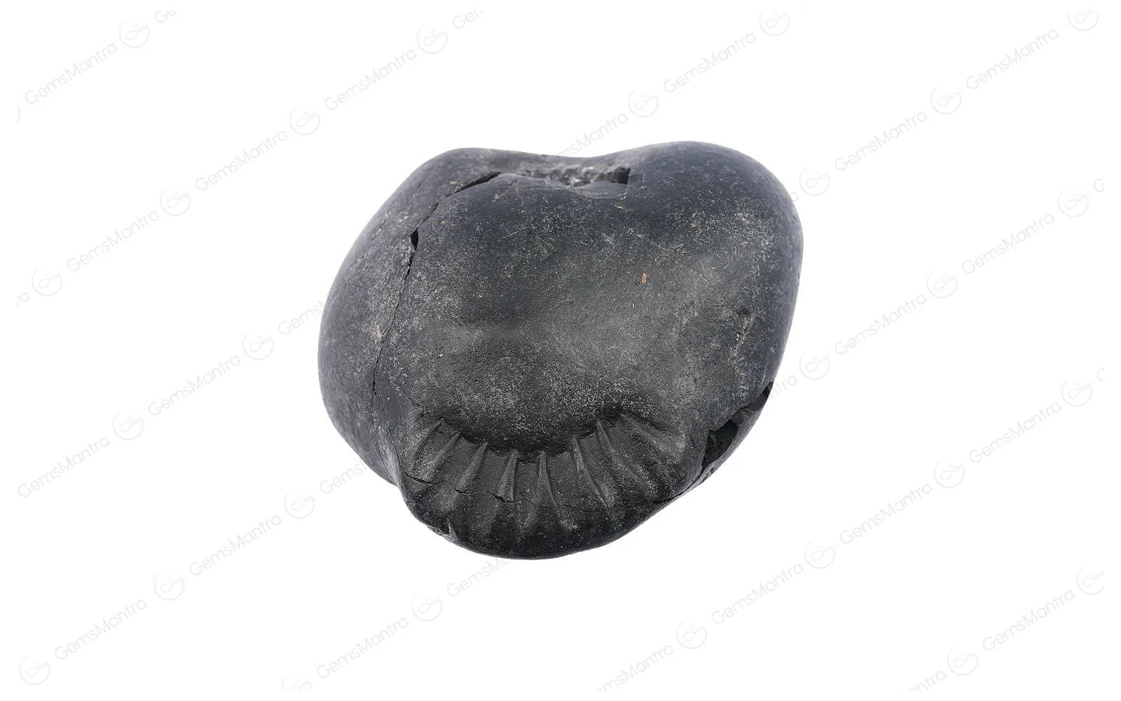 Shaligram - Image 3
