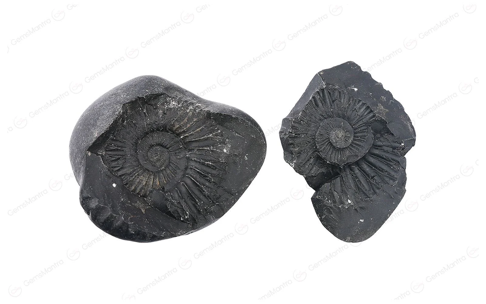Shaligram - Image 4