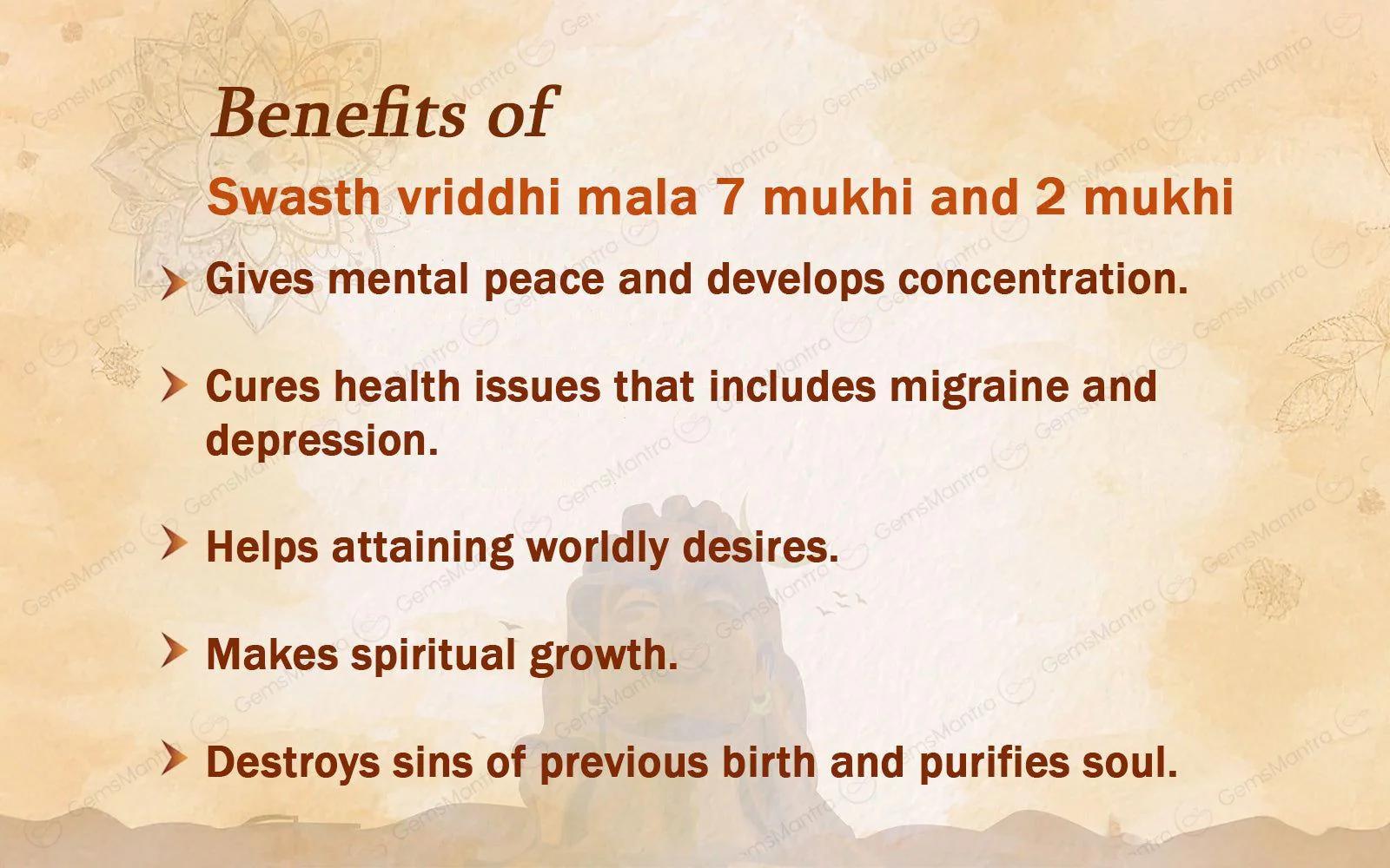 Swasth Vriddhi Mala - 7 Mukhi and 2 Mukhi Rudraksha - Image 4