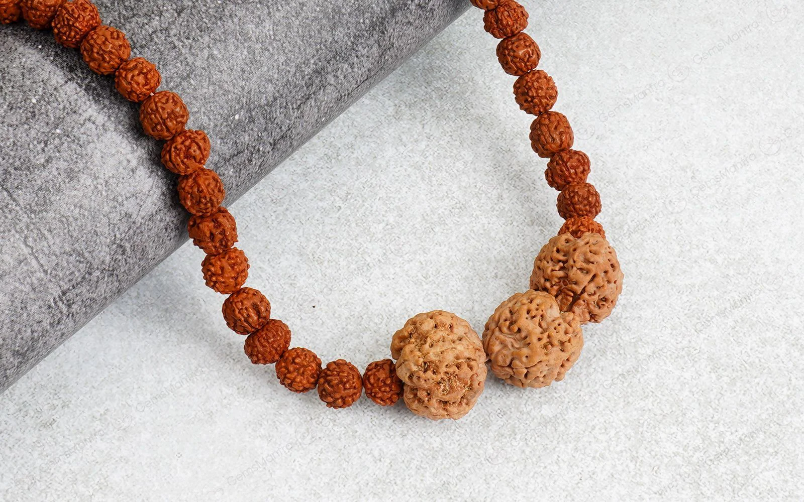 Vidya Vriddhi Mala - 4 Mukhi and 5 Mukhi Rudraksha - Image 3
