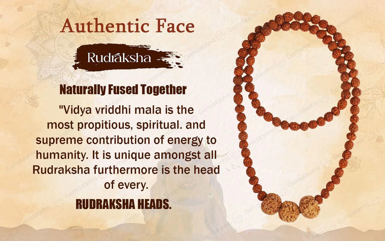 Vidya Vriddhi Mala - 4 Mukhi and 5 Mukhi Rudraksha - Image 5